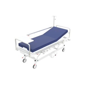 AGS Bed Transfer Patient