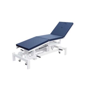 AGS Examination Table Electric (ANB0803)